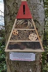 Insect Hotel Watsons Estate